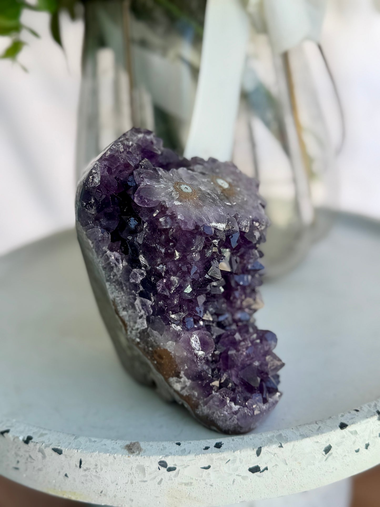 Amethyst Cutbase (Cookie Monster)