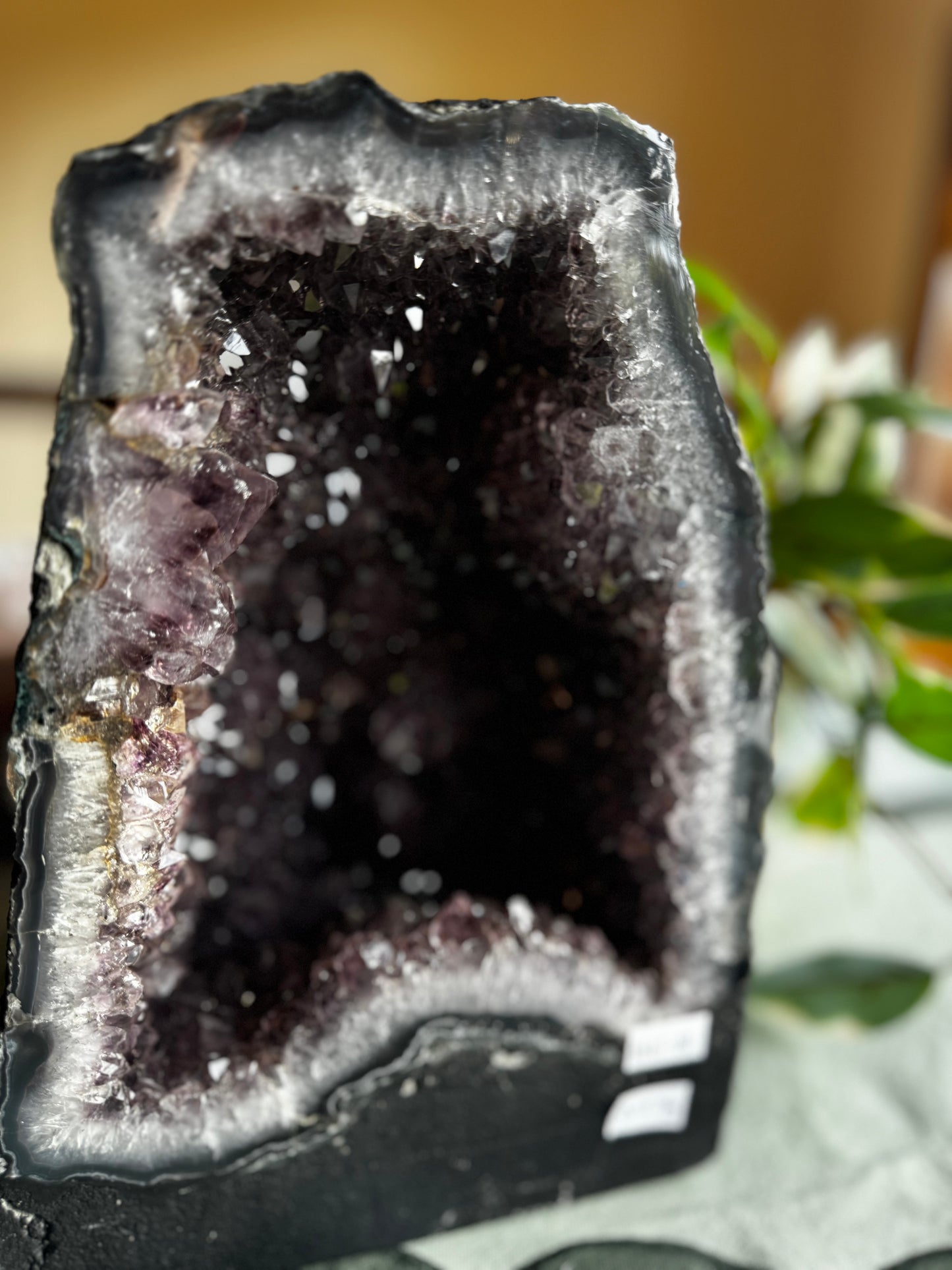 Amethyst Cathedral