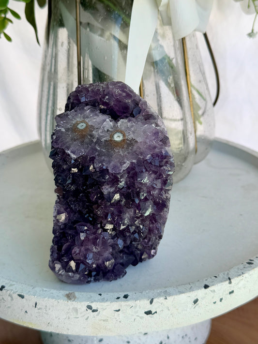 Amethyst Cutbase (Cookie Monster)