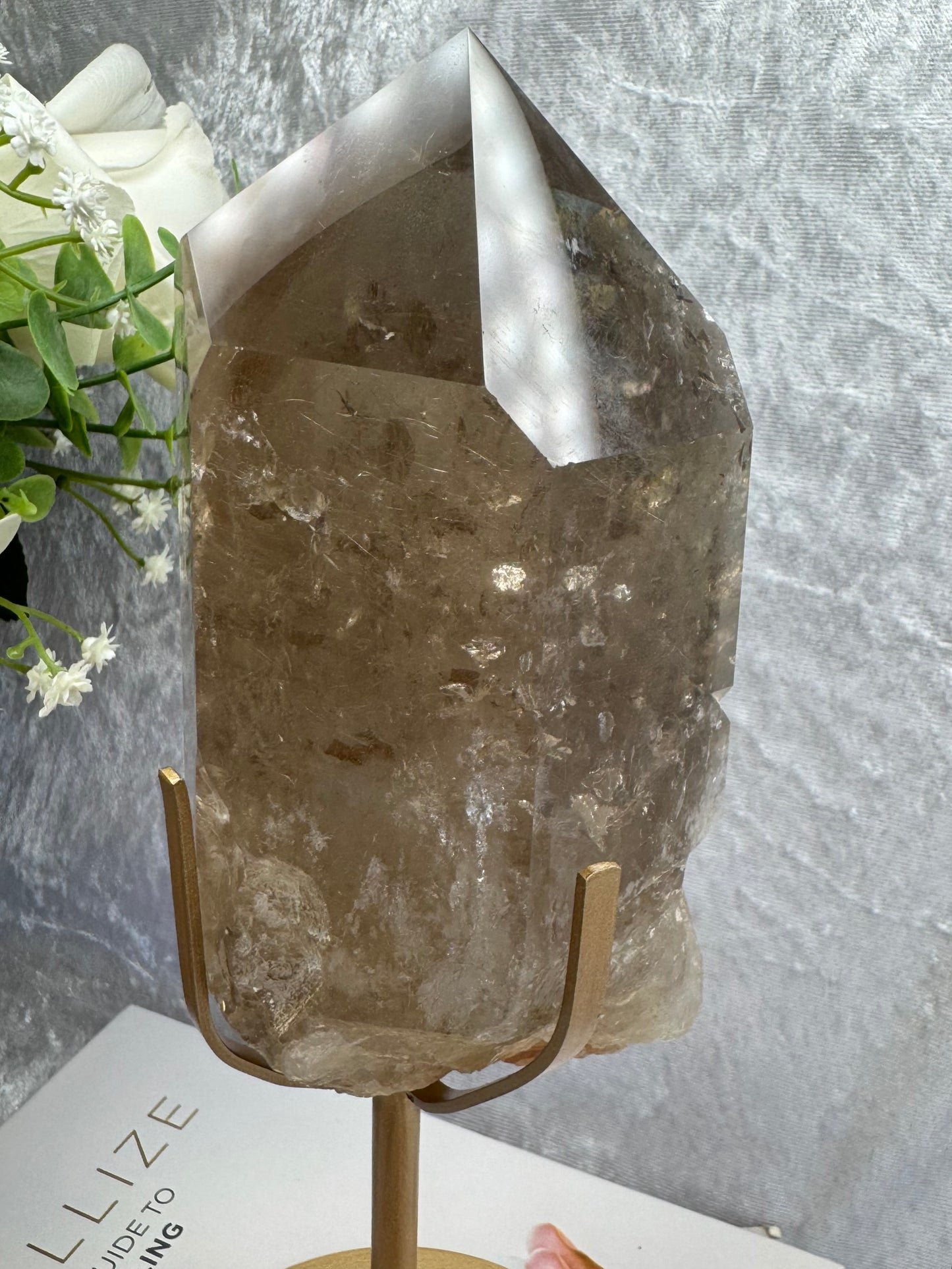 Smokey Quartz with Amphibole and Golden Rutile Inclusions