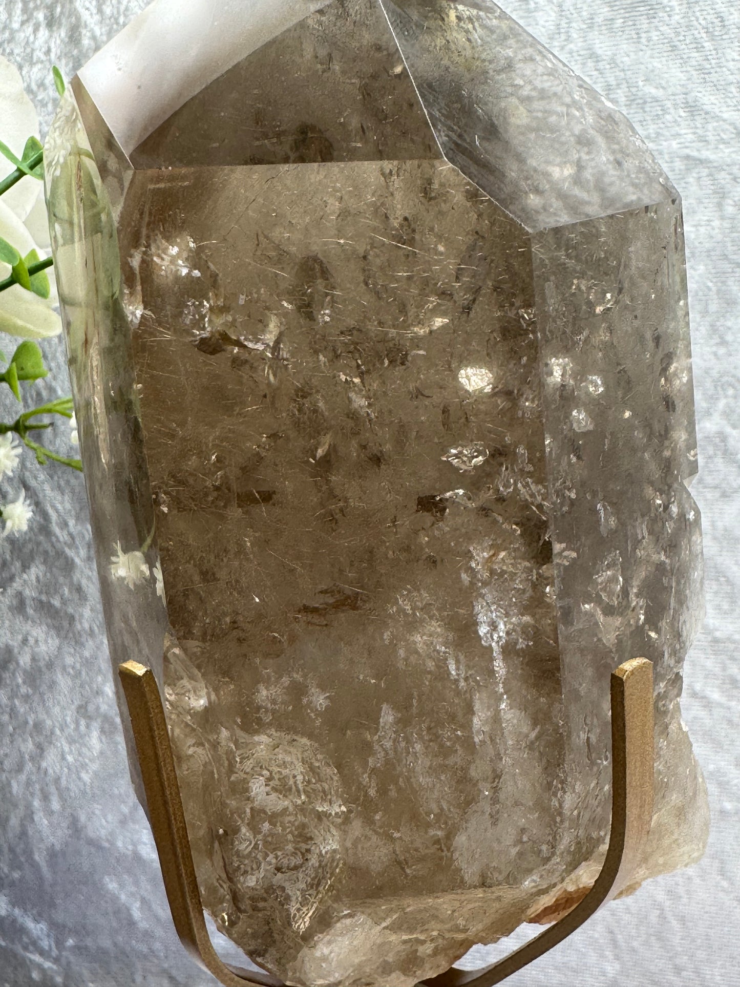 Smokey Quartz with Amphibole and Golden Rutile Inclusions
