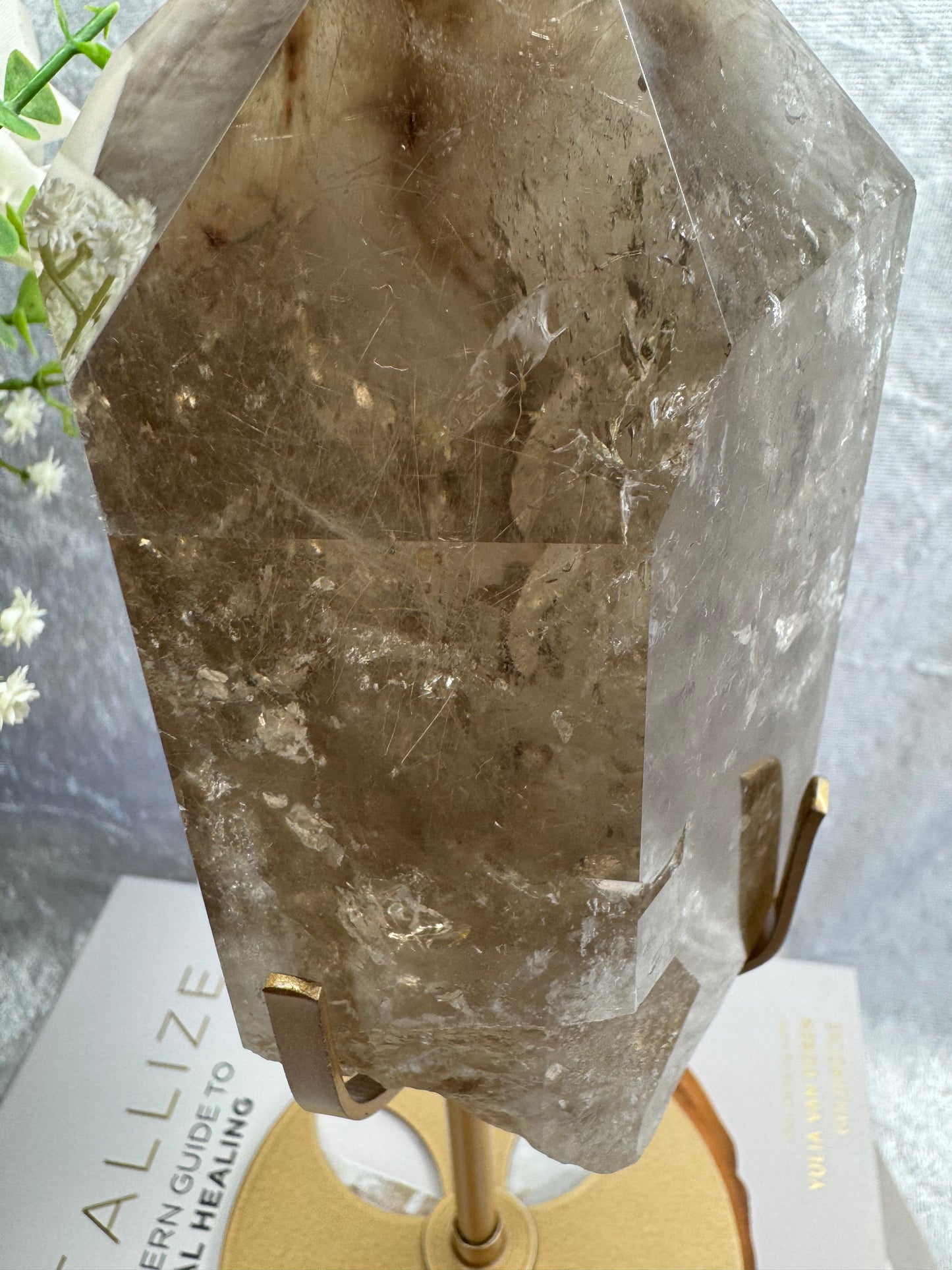 Smokey Quartz with Amphibole and Golden Rutile Inclusions