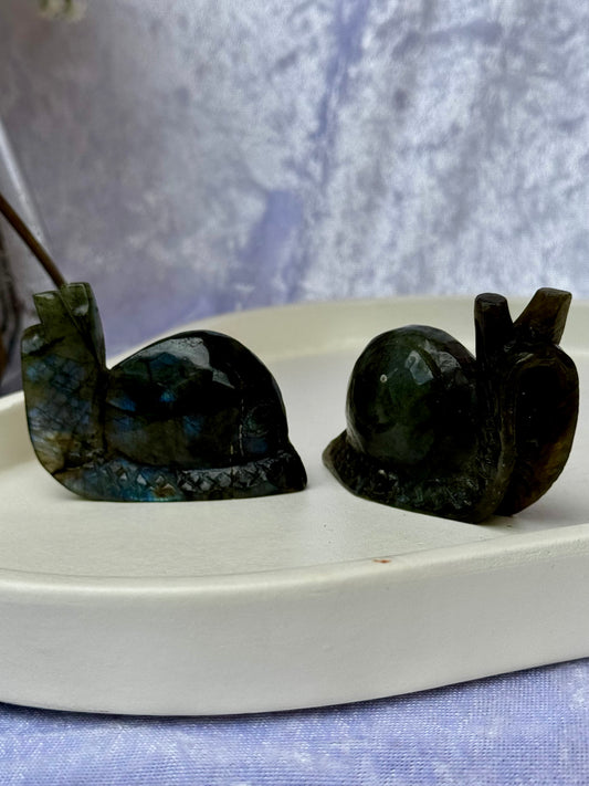 Labradorite Snail