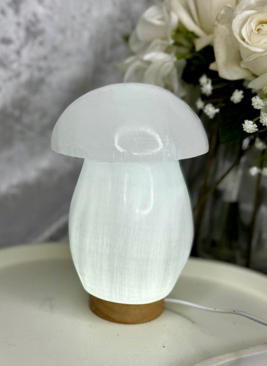 Selenite Mushroom light