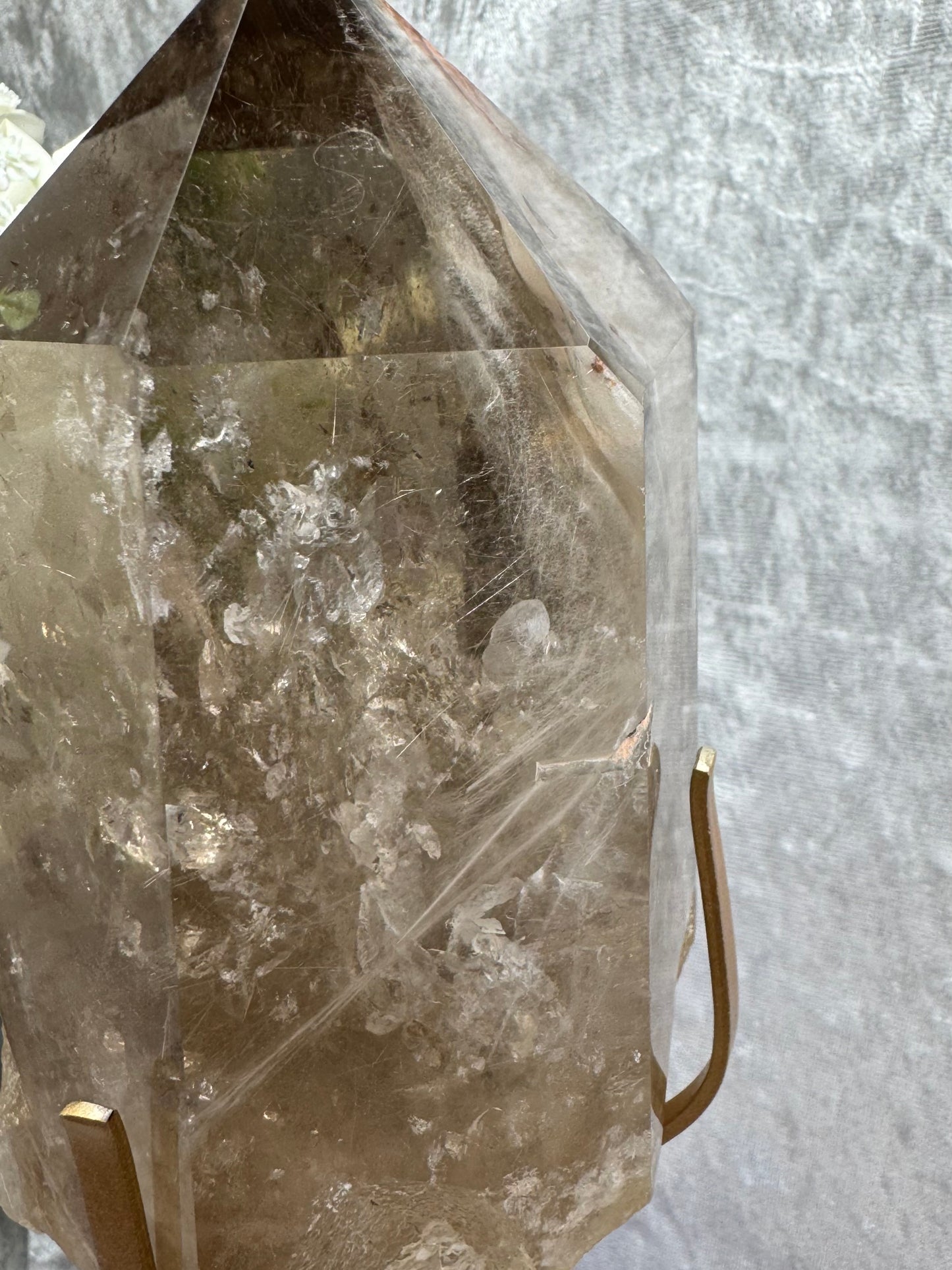 Smokey Quartz with Amphibole and Golden Rutile Inclusions
