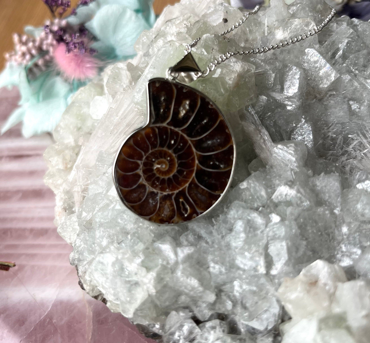 Ammonite Fossil Pendant with Chain