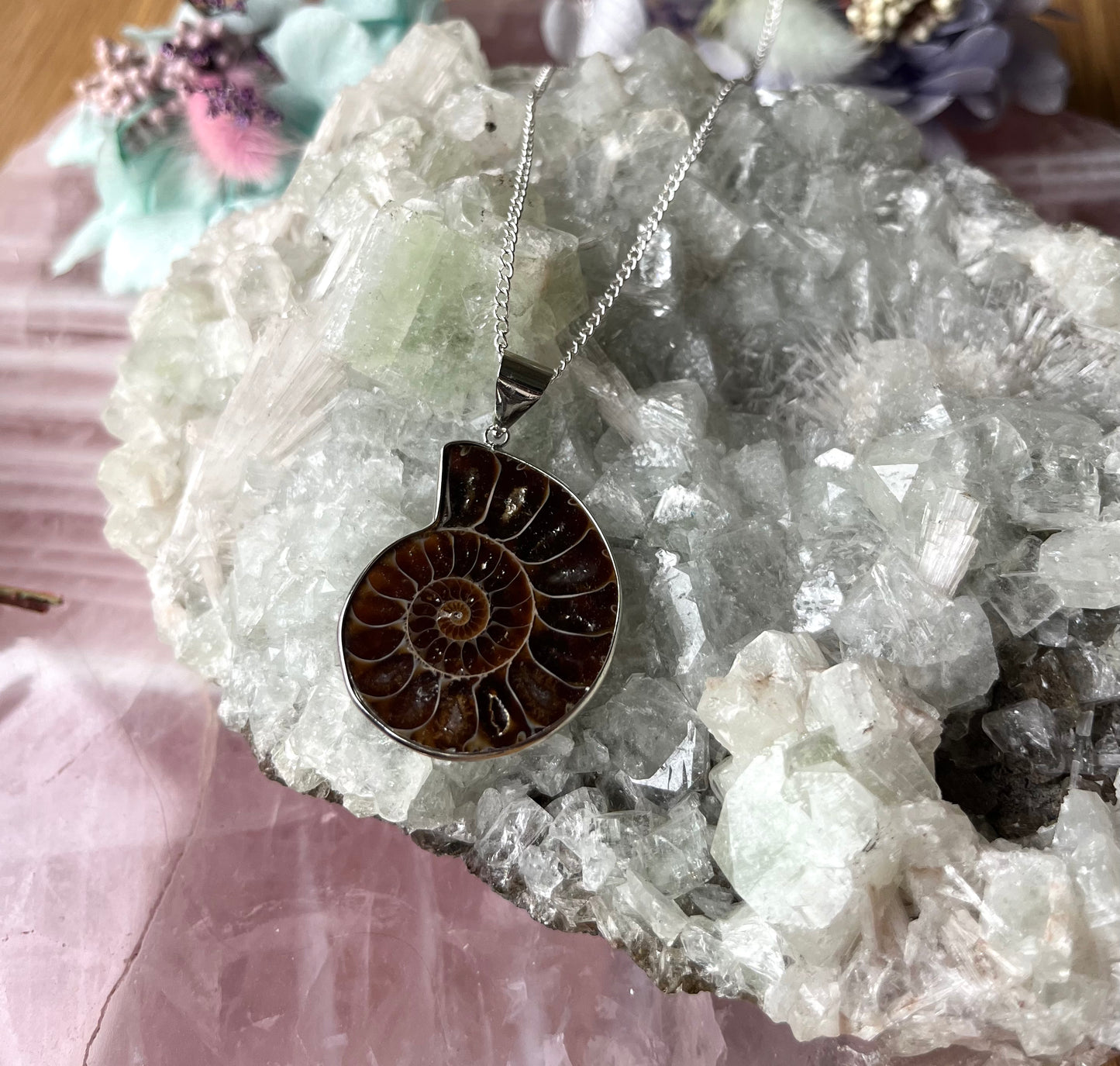 Ammonite Fossil Pendant with Chain