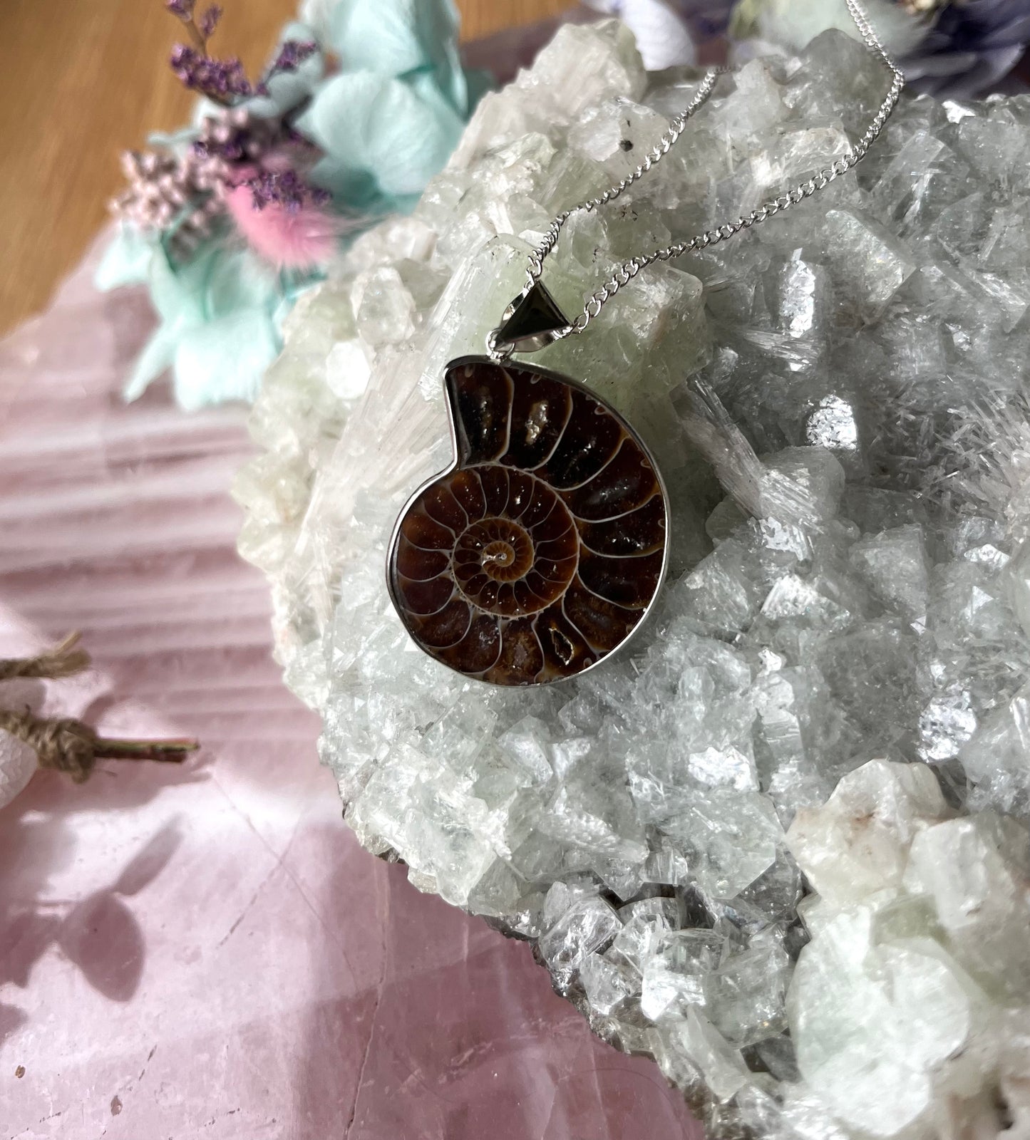 Ammonite Fossil Pendant with Chain