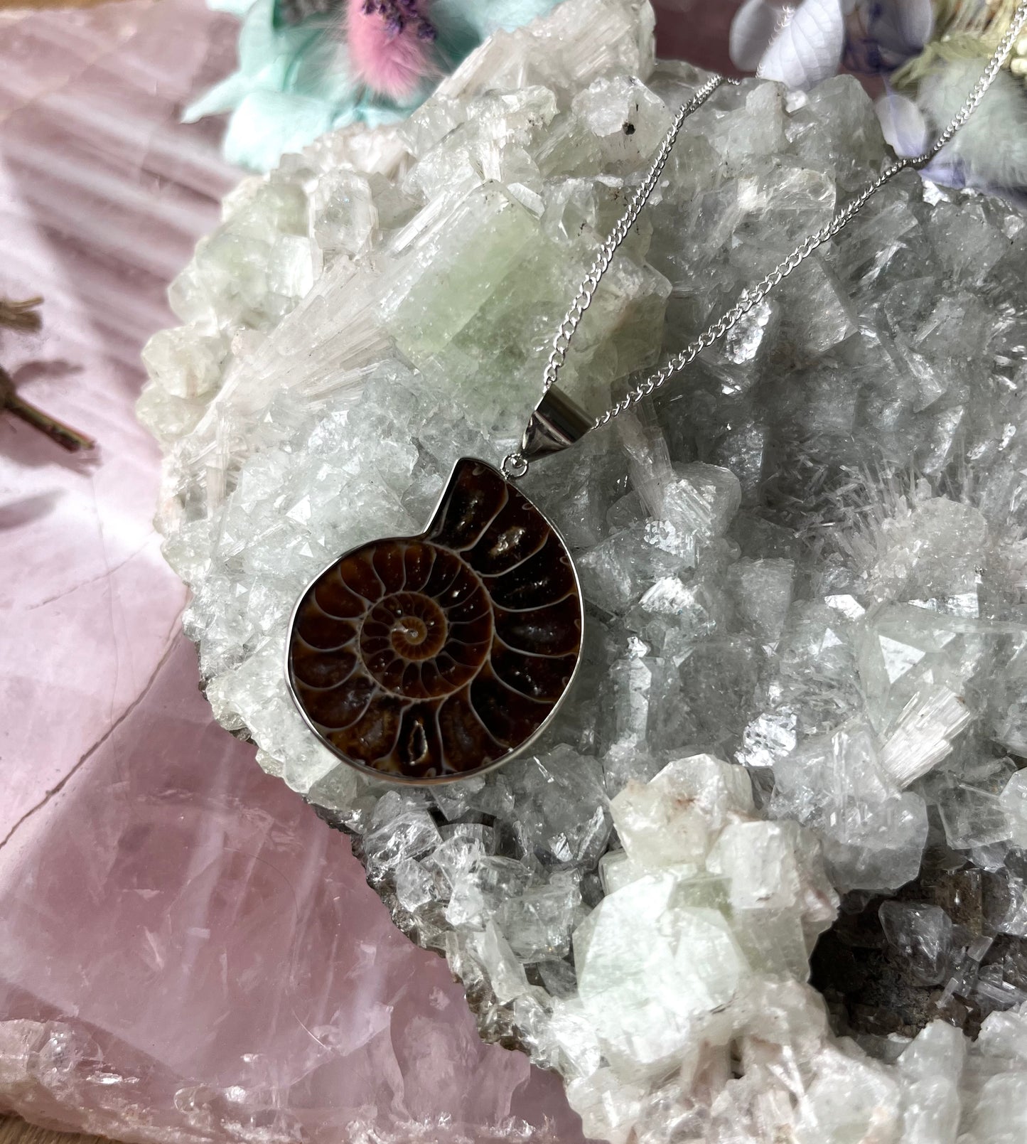Ammonite Fossil Pendant with Chain